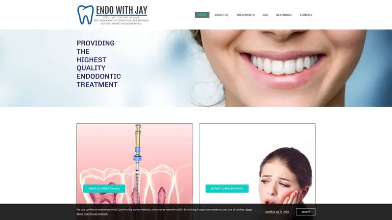 Homepage of endowithjay.co.nz