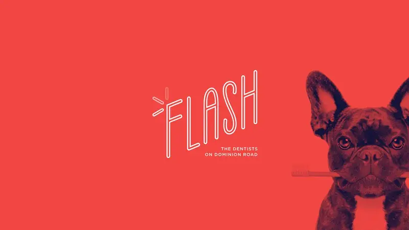 Homepage of flashdental.co.nz