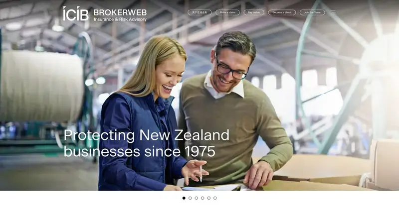Homepage of icib.co.nz