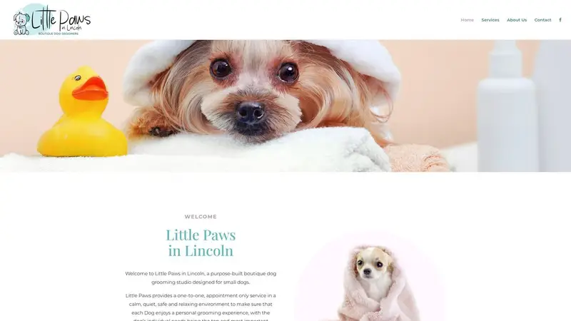Homepage of littlepawsgrooming.co.nz