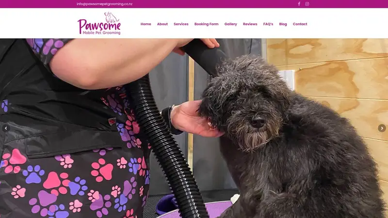Homepage of pawsomepetgrooming.co.nz