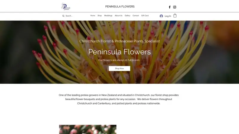 Homepage of peninsulaflowers.co.nz