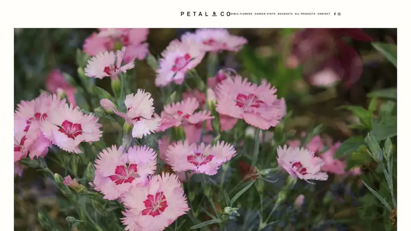 Homepage of petalandco.nz