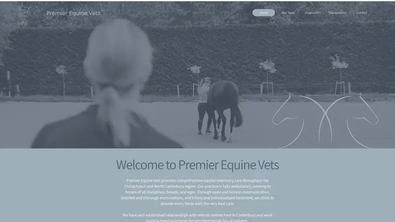 Homepage of pev.co.nz