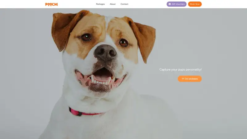 Homepage of poochistudio.co.nz