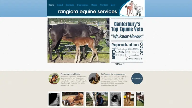 Homepage of rangioraequine.co.nz