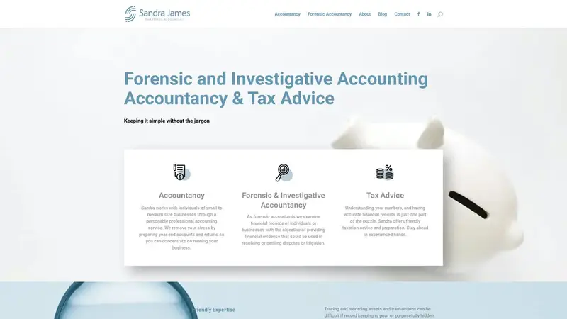 Homepage of sandrajamesaccountant.co.nz