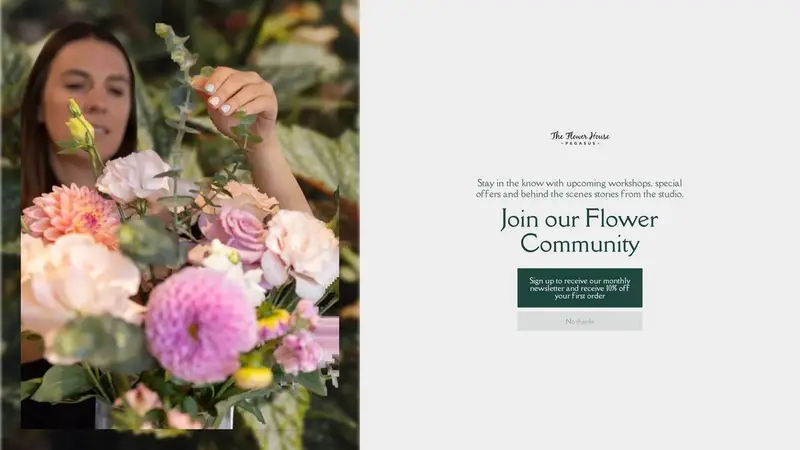 Homepage of theflowerhousepegasus.co.nz