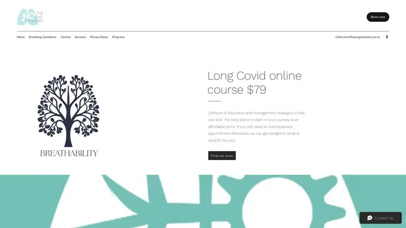 Homepage of thelungmechanic.co.nz