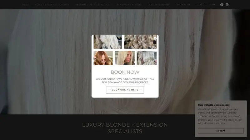 Homepage of thesaloncollective.co.nz