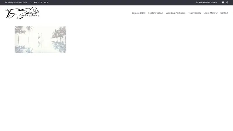 Homepage of tonystewart.nz