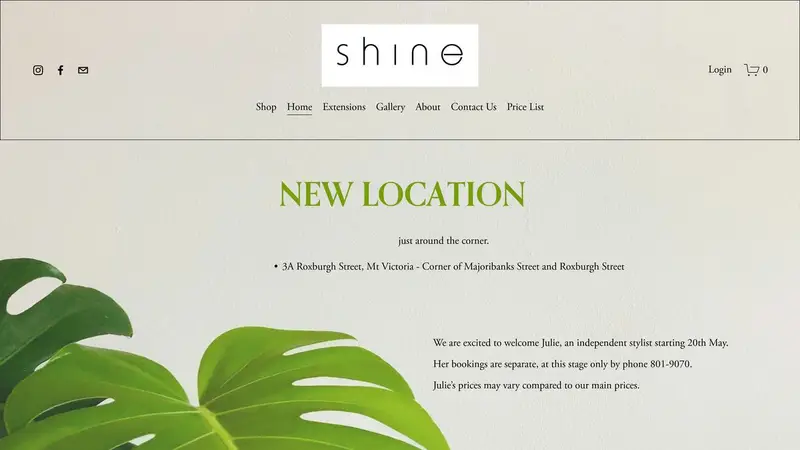 Homepage of wellingtonhairsalon.co.nz
