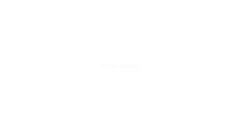 Homepage of whitecanvas.co.nz