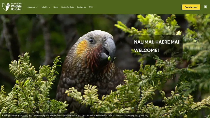 Homepage of wildlifehospital.co.nz