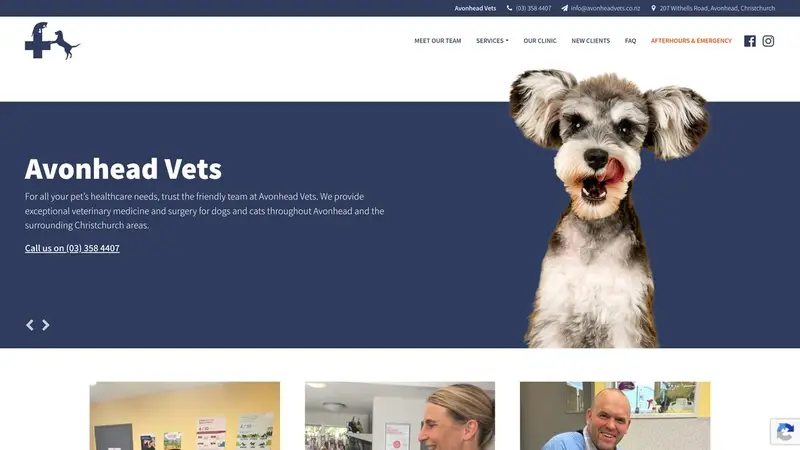 Homepage of avonheadvets.co.nz